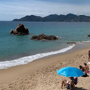 Le Palm Azur , Cannes France